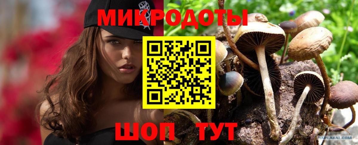 Псилоцибиновые грибы мицелий Знаменск